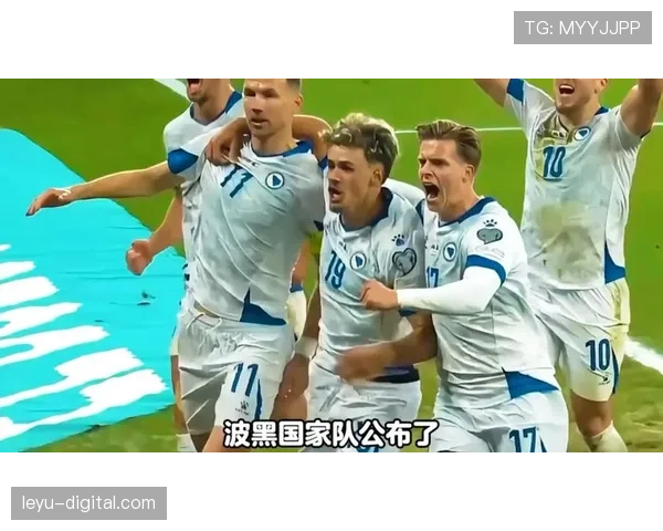 2026世界杯波黑队阵容预测 哲科领衔能否创造历史最佳战绩 2026世界杯波黑队阵容预测 哲科领衔能否创造历史最佳战绩